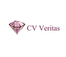 Cv Screening by CV Veritas