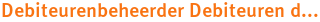 Debiteurenbeheerder Debiteuren d... Debiteurenbeheerder Debiteuren d...